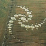 Crop Circle Windmill Hill, Wiltshire  29th July 1996 Wheat