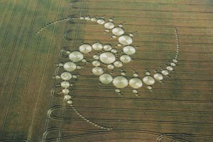 Crop Circle Windmill Hill, Wiltshire  29th July 1996 Wheat