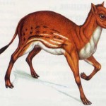 Hyracotherium