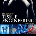 Principles of Tissue Engineering