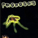 Proboscis