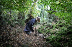 Strega_Bosco del Sasseto ph Luca Perazzolo