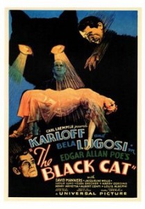 black cat 1