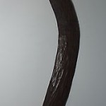 boomerang