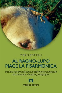 bottali-600x900