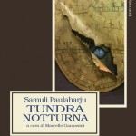 cover tundra notturna