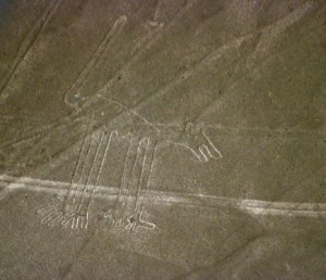 nazca 3