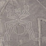 nazca 6