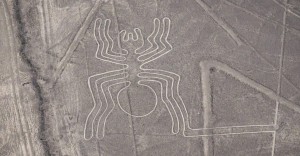 nazca 6