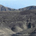 nazca 7