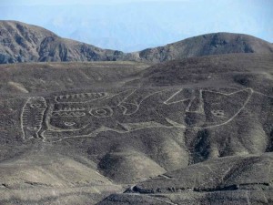 nazca 7