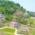 palenque 5