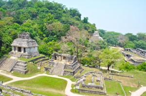 palenque 5