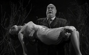plan 9 from outer space 8