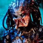 predator 9