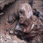 Dopo un sisma oppure a causa di un errore umano può capitare di venire sepolti un po’ anzitempo…