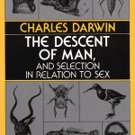 the descent of man