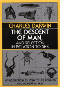 the descent of man