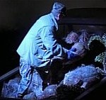 ultracorpi 2